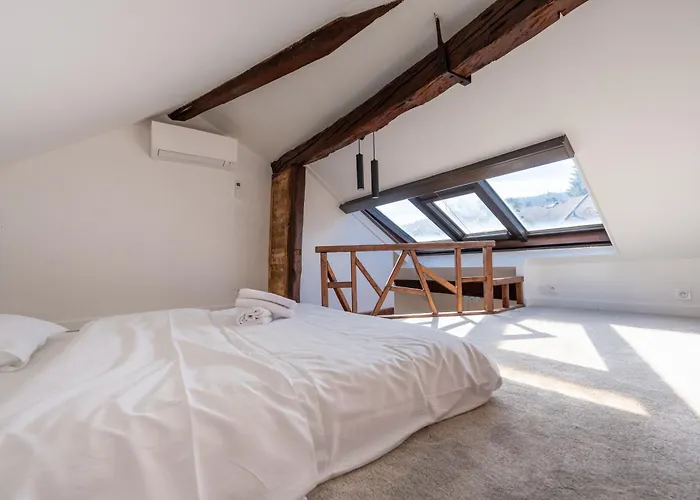 Sous Les Toits D\'Annecy, Un Appartement Irresistible Pour 1 A 6 Personnes En Plein Coeur De Ville